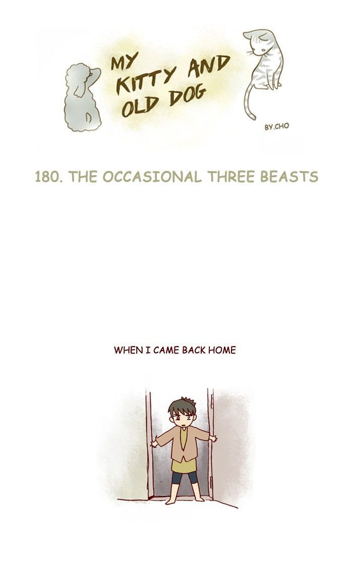 My Young Cat and My Old Dog Chapter 180 page 1 - Chapter 180