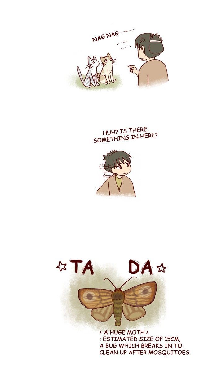 My Young Cat and My Old Dog Chapter 180 page 3 - Chapter 180
