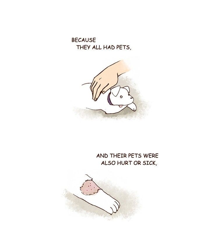 My Young Cat and My Old Dog Chapter 181 page 9 - Chapter 181