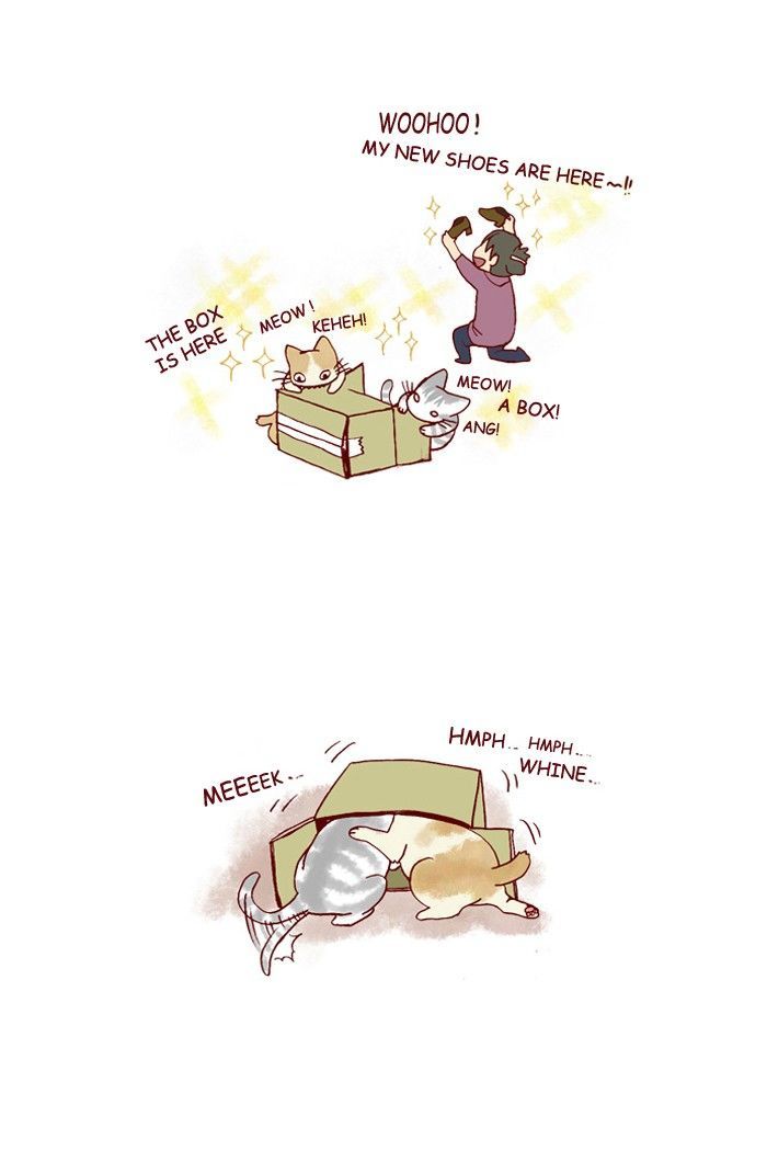 My Young Cat and My Old Dog Chapter 183 page 2 - Chapter 183