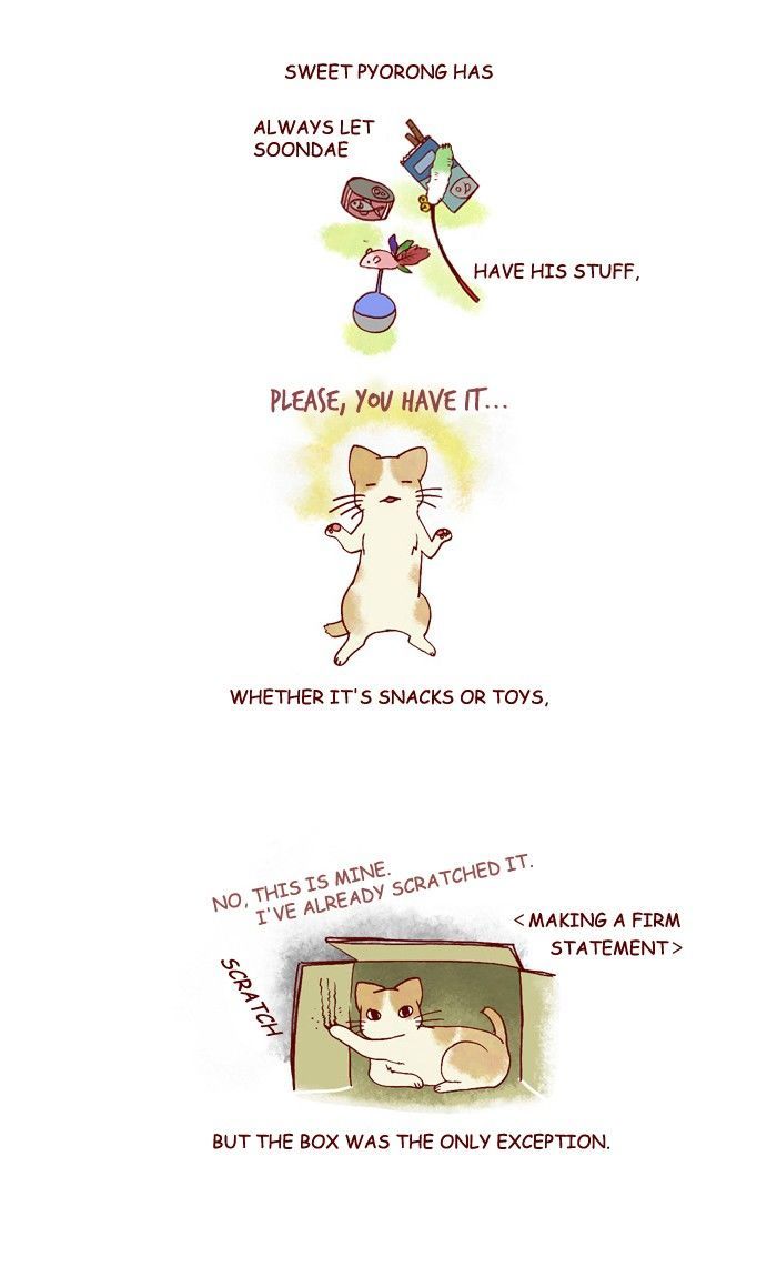 My Young Cat and My Old Dog Chapter 183 page 4 - Chapter 183