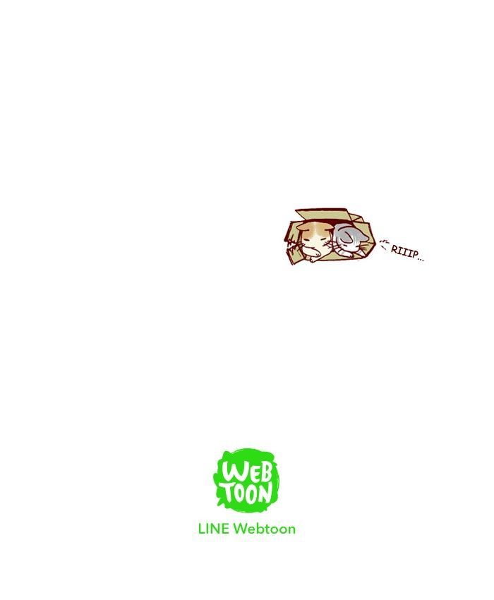 My Young Cat and My Old Dog Chapter 183 page 8 - Chapter 183