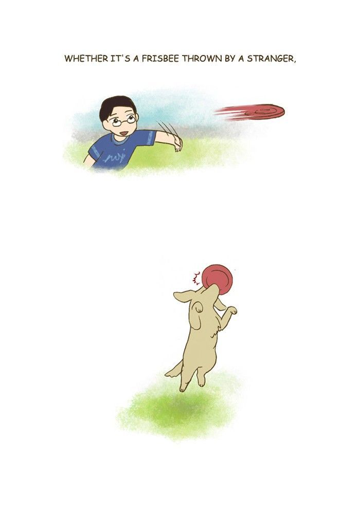 My Young Cat and My Old Dog Chapter 184 page 4 - Chapter 184