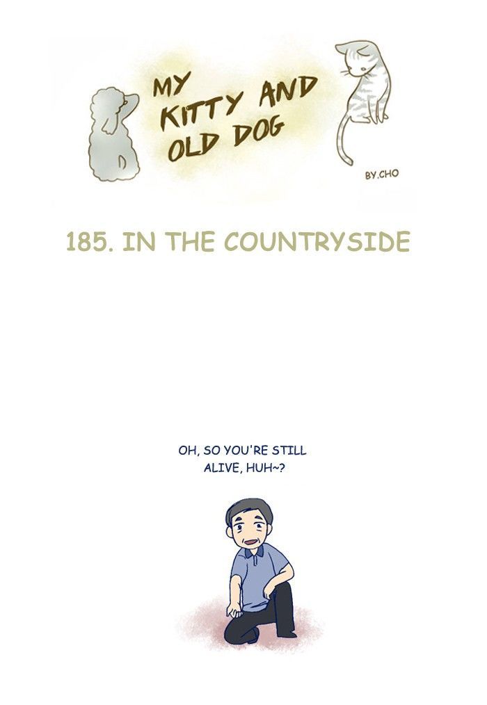 My Young Cat and My Old Dog Chapter 185 page 1 - Chapter 185