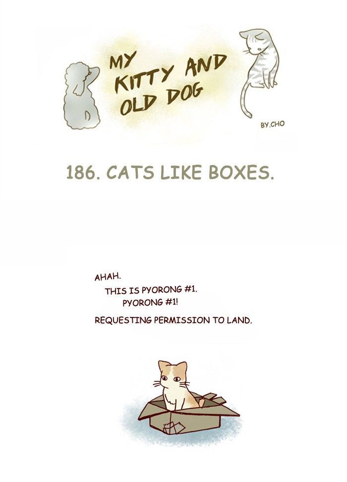 My Young Cat and My Old Dog Chapter 186 page 1 - Chapter 186