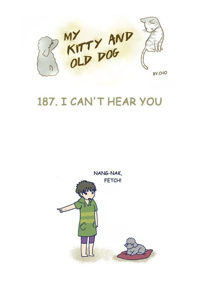 My Young Cat and My Old Dog Chapter 187 page 1 - Chapter 187