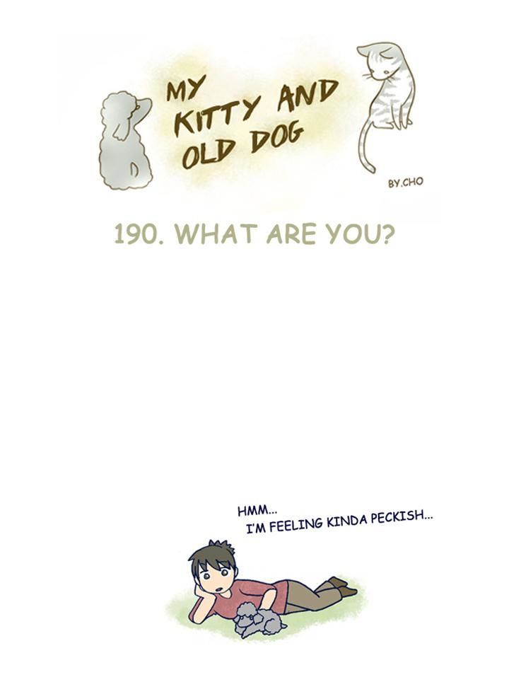 My Young Cat and My Old Dog Chapter 190 page 1 - Chapter 190