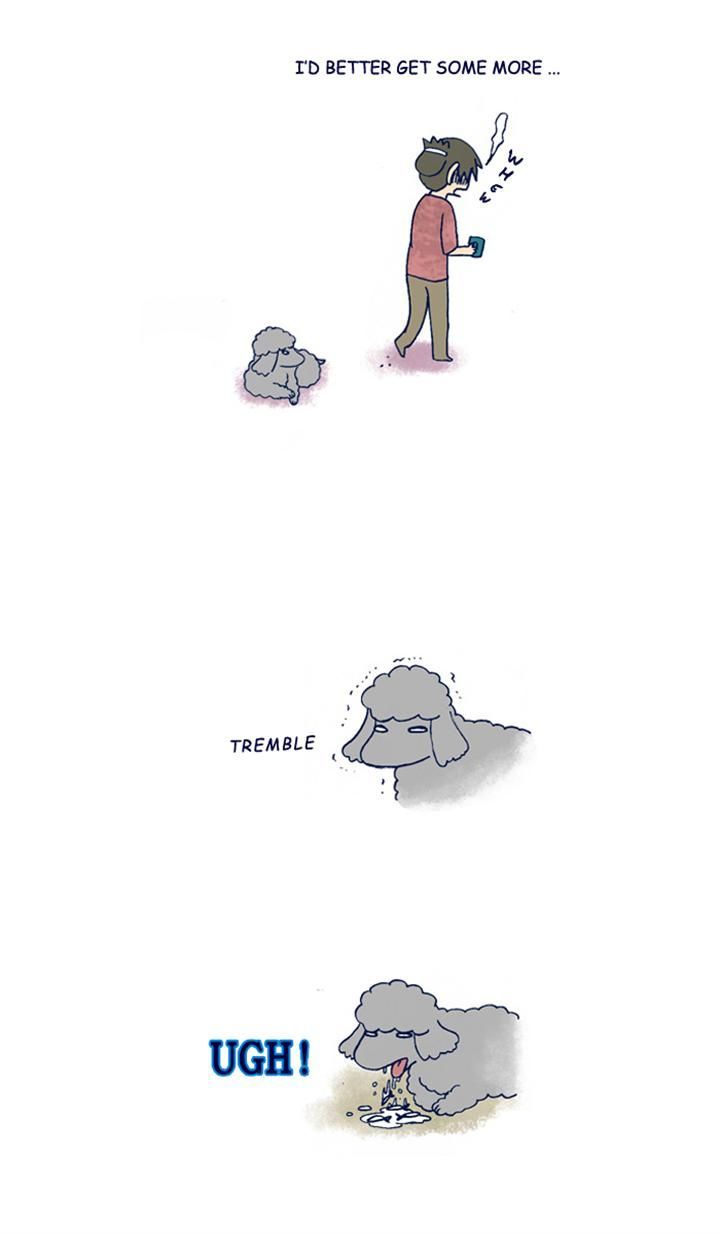 My Young Cat and My Old Dog Chapter 190 page 5 - Chapter 190