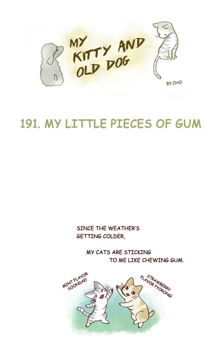 My Young Cat and My Old Dog Chapter 191 page 1 - Chapter 191