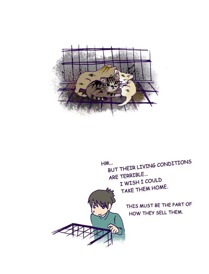 My Young Cat and My Old Dog Chapter 192 page 2 - Chapter 192