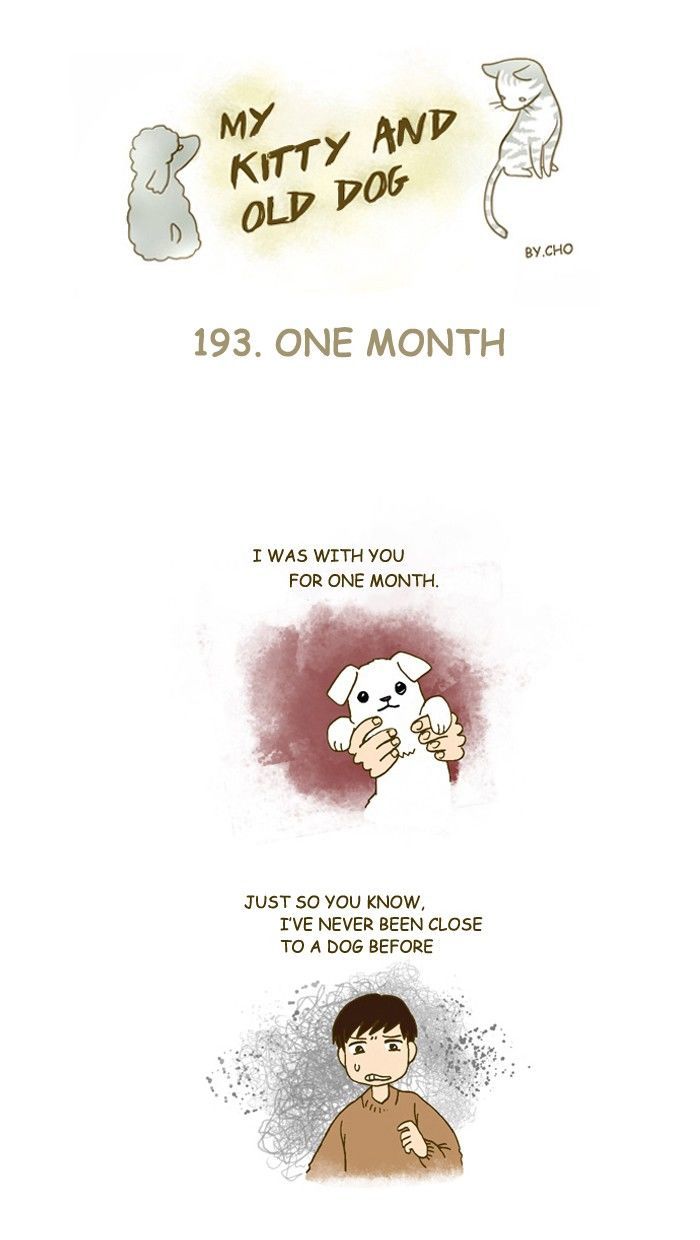 My Young Cat and My Old Dog Chapter 193 page 1 - Chapter 193
