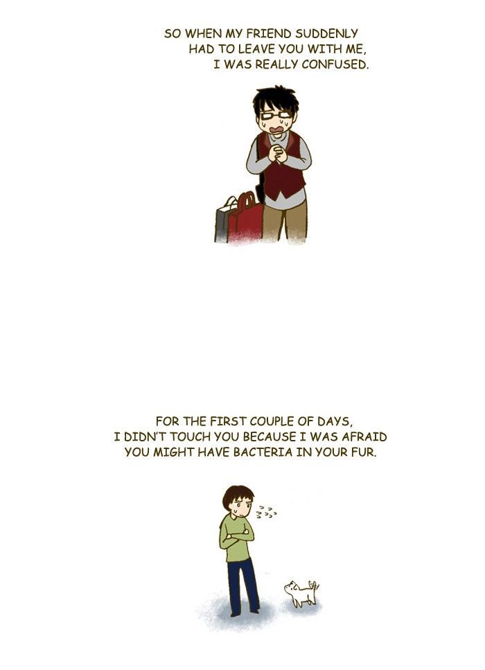 My Young Cat and My Old Dog Chapter 193 page 2 - Chapter 193