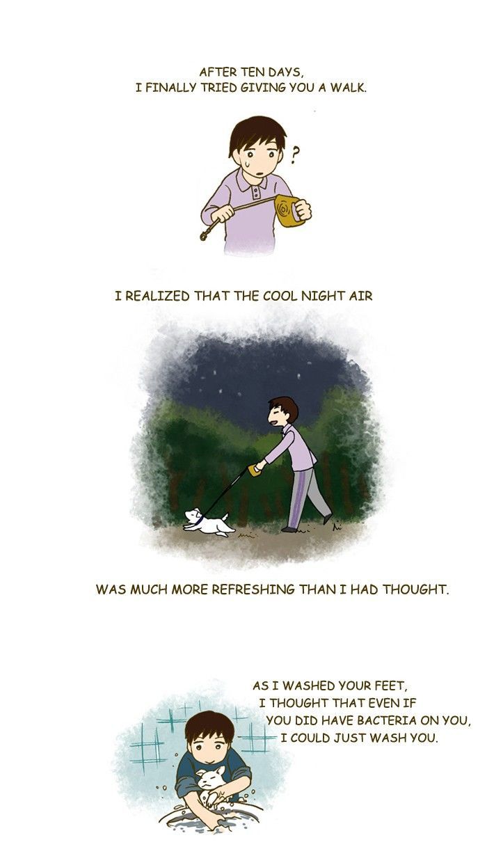 My Young Cat and My Old Dog Chapter 193 page 4 - Chapter 193