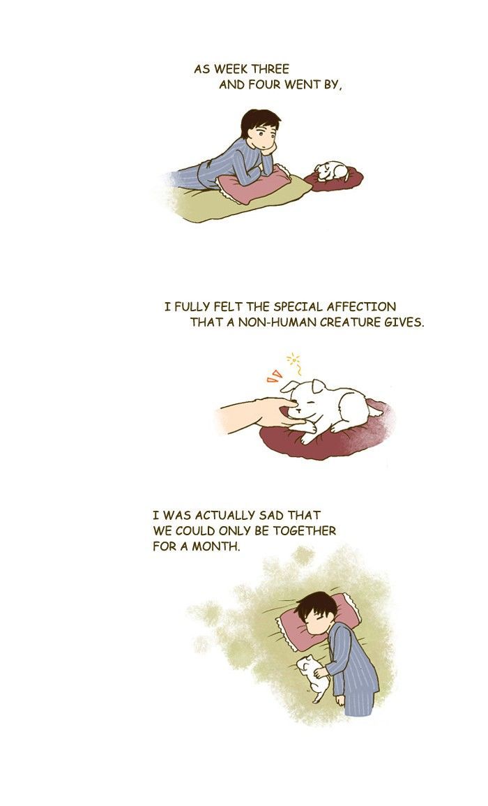 My Young Cat and My Old Dog Chapter 193 page 5 - Chapter 193