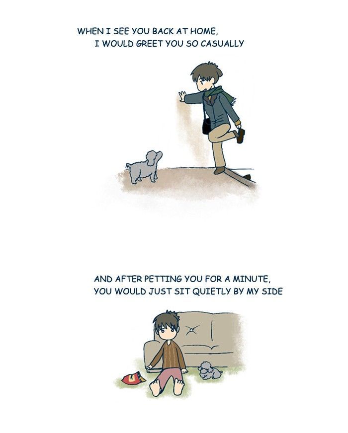 My Young Cat and My Old Dog Chapter 194 page 3 - Chapter 194