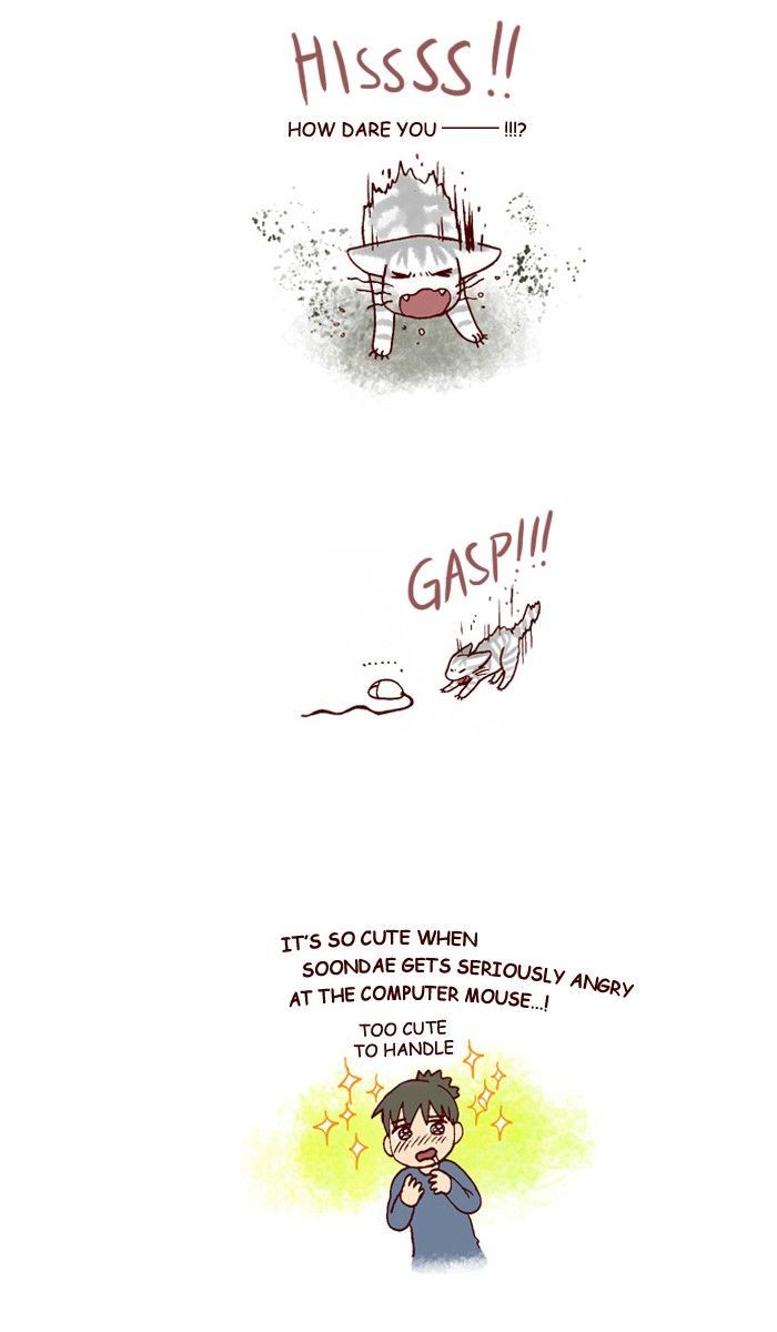 My Young Cat and My Old Dog Chapter 195 page 5 - Chapter 195