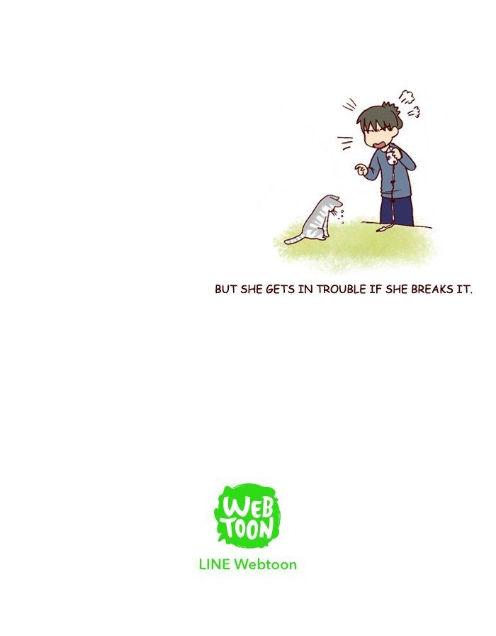 My Young Cat and My Old Dog Chapter 195 page 6 - Chapter 195