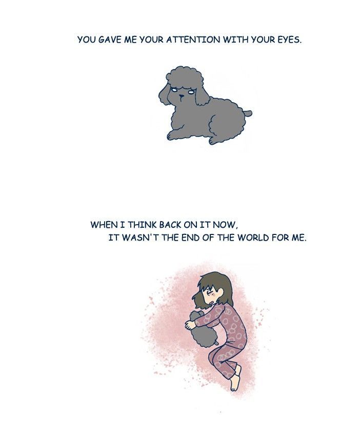 My Young Cat and My Old Dog Chapter 196 page 7 - Chapter 196