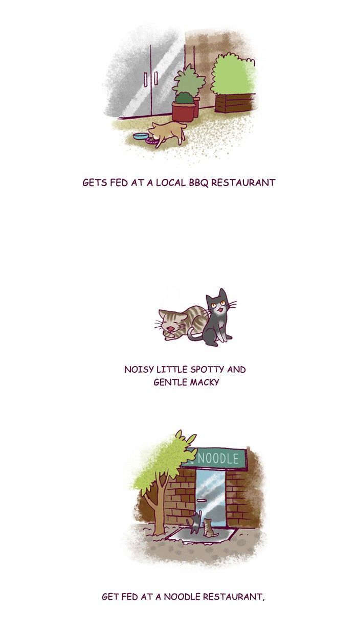 My Young Cat and My Old Dog Chapter 197 page 2 - Chapter 197