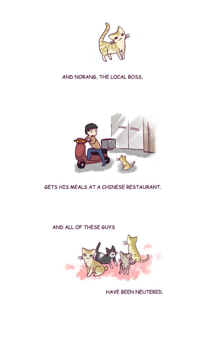 My Young Cat and My Old Dog Chapter 197 page 3 - Chapter 197