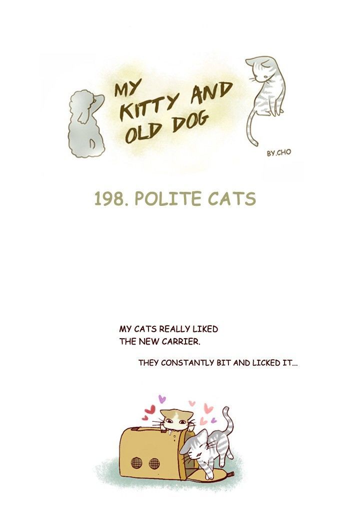 My Young Cat and My Old Dog Chapter 198 page 1 - Chapter 198