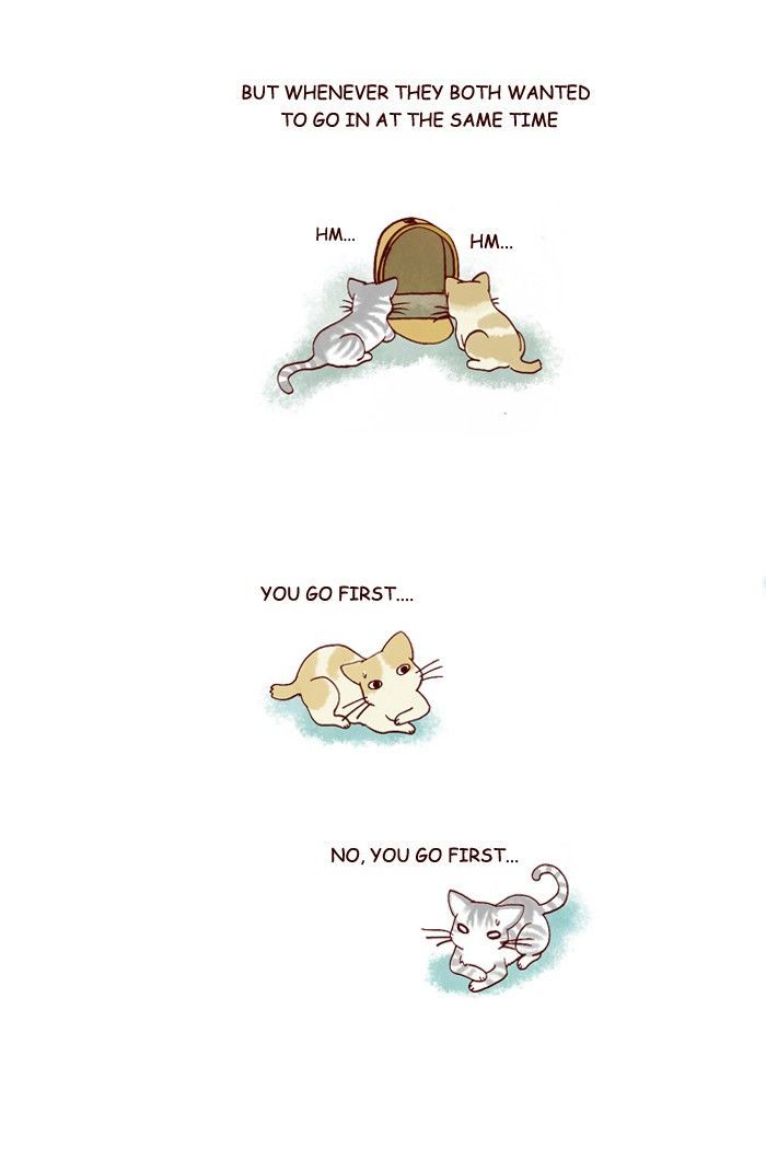 My Young Cat and My Old Dog Chapter 198 page 2 - Chapter 198