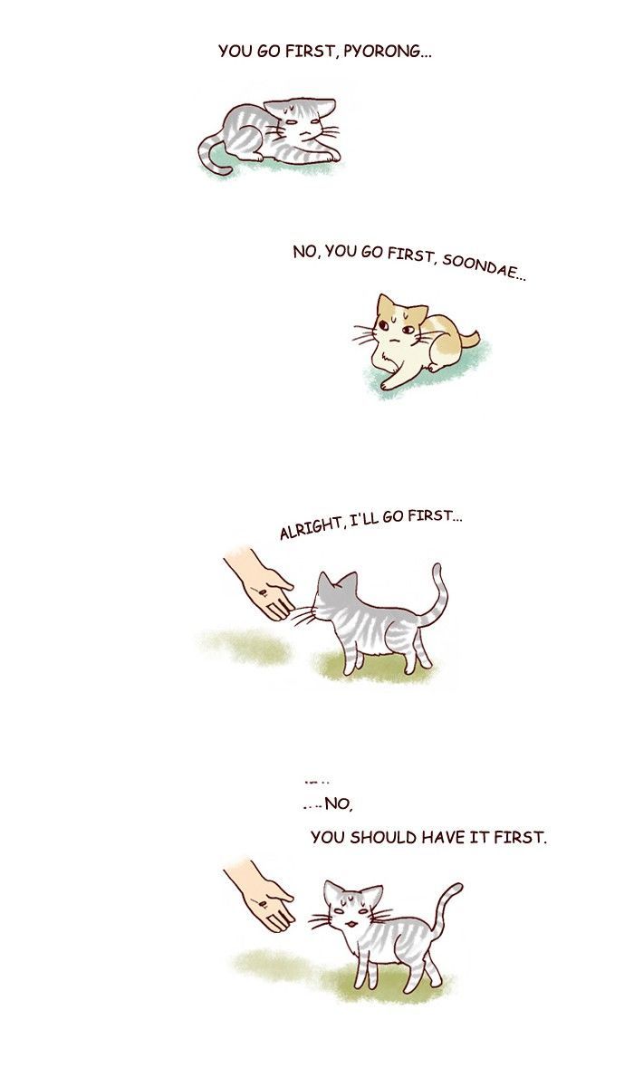 My Young Cat and My Old Dog Chapter 198 page 4 - Chapter 198