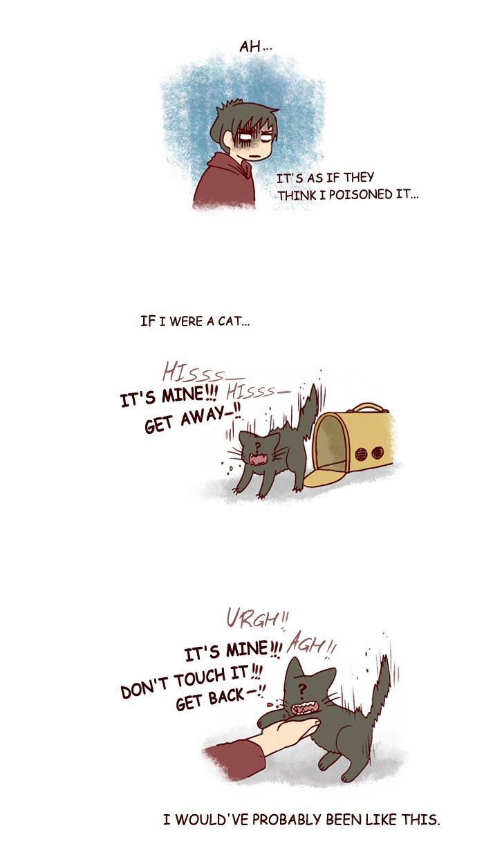 My Young Cat and My Old Dog Chapter 198 page 5 - Chapter 198