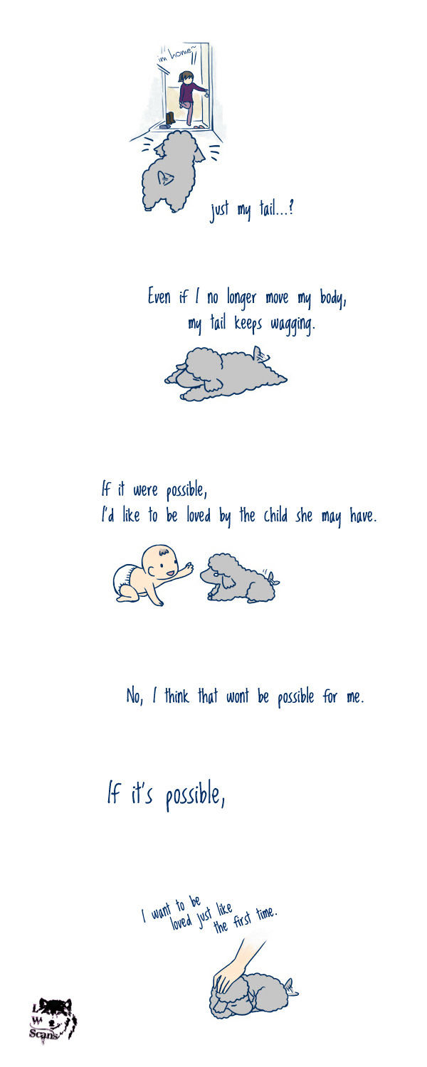 My Young Cat and My Old Dog Chapter 2 page 5 - Chapter 2 : Old Dog