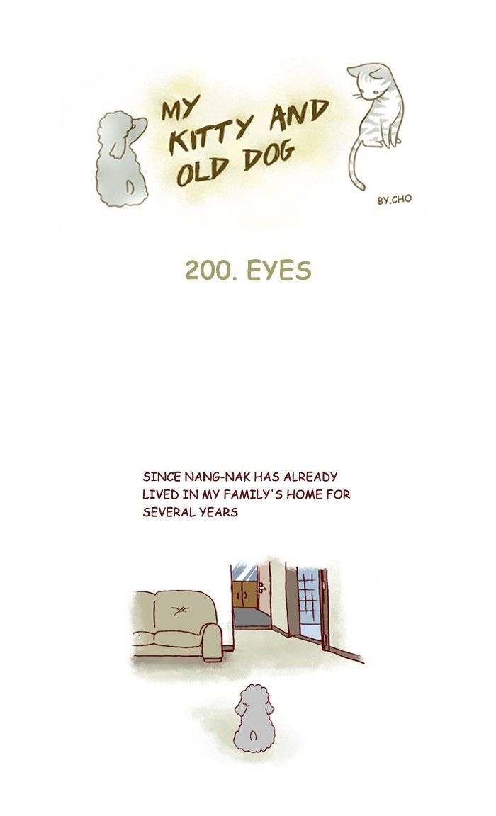 My Young Cat and My Old Dog Chapter 200 page 1 - Chapter 200