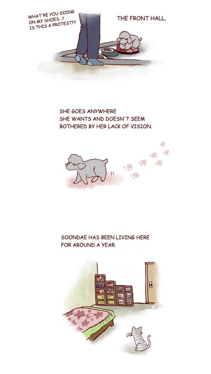 My Young Cat and My Old Dog Chapter 200 page 3 - Chapter 200