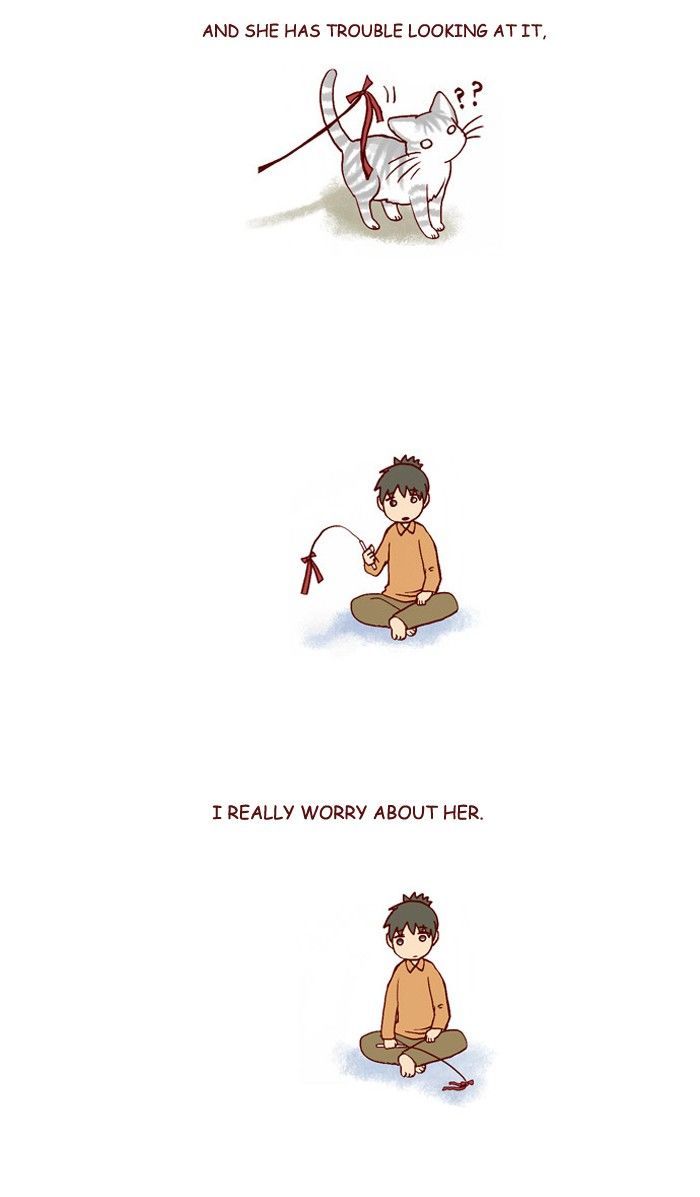 My Young Cat and My Old Dog Chapter 200 page 5 - Chapter 200