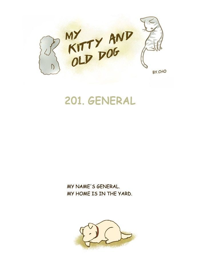 My Young Cat and My Old Dog Chapter 201 page 1 - Chapter 201