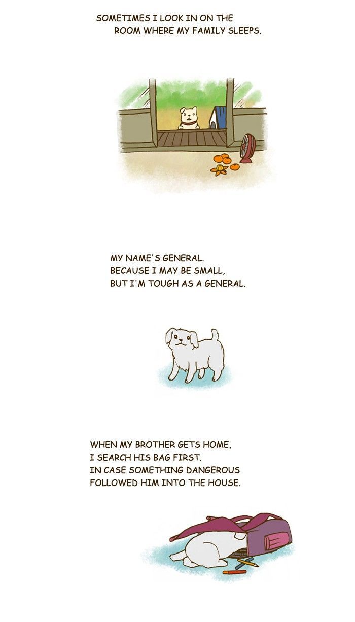 My Young Cat and My Old Dog Chapter 201 page 2 - Chapter 201