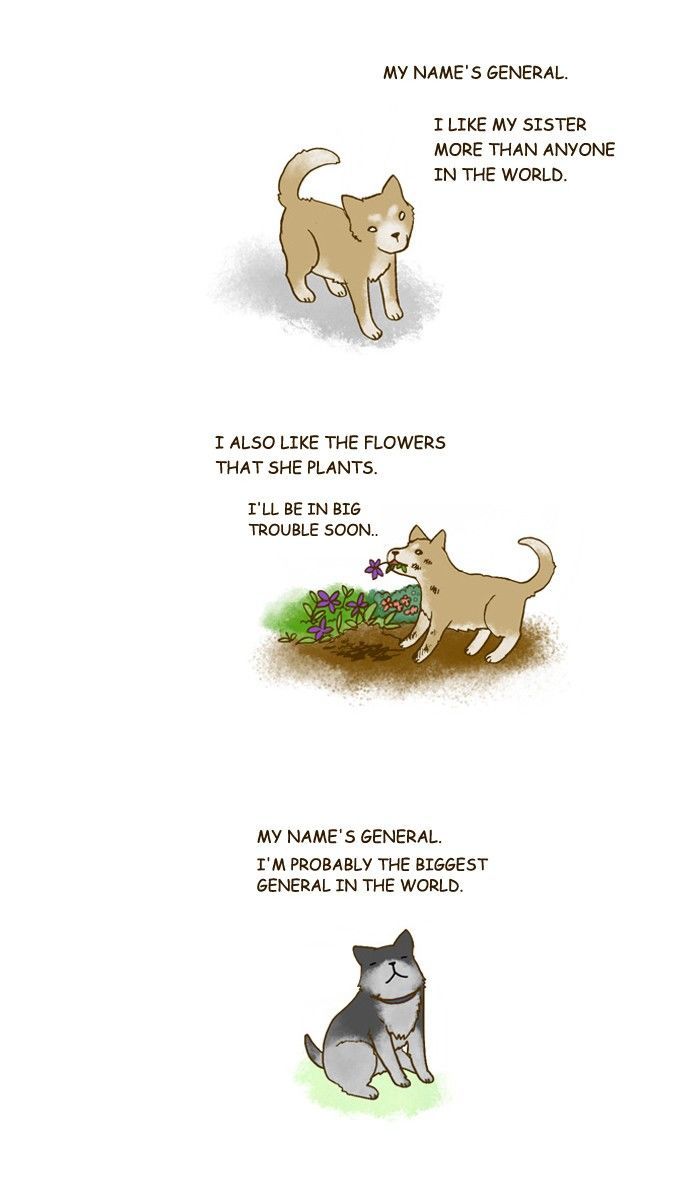 My Young Cat and My Old Dog Chapter 201 page 3 - Chapter 201