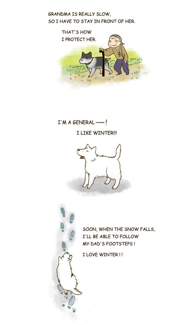My Young Cat and My Old Dog Chapter 201 page 4 - Chapter 201