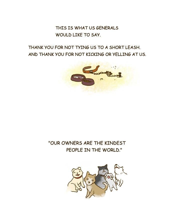My Young Cat and My Old Dog Chapter 201 page 5 - Chapter 201