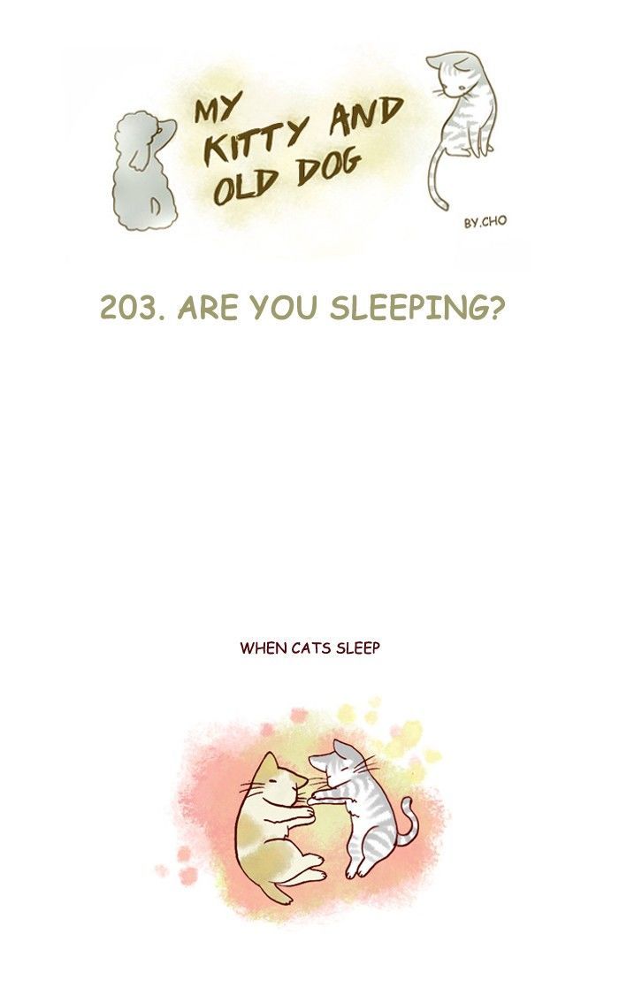 My Young Cat and My Old Dog Chapter 203 page 1 - Chapter 203
