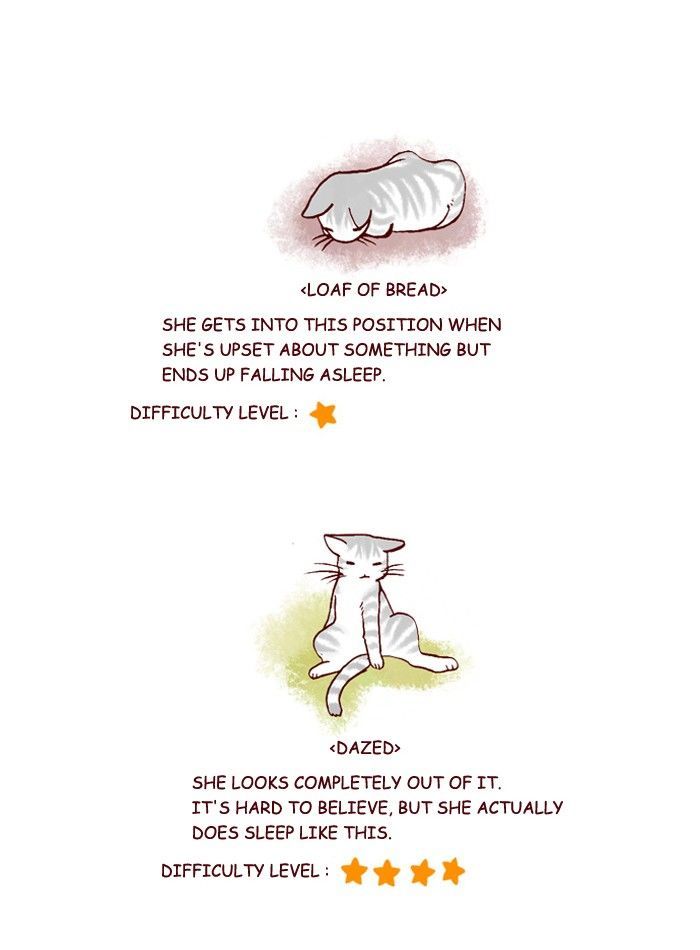 My Young Cat and My Old Dog Chapter 203 page 4 - Chapter 203