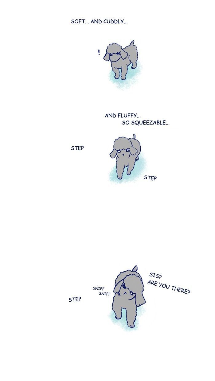 My Young Cat and My Old Dog Chapter 204 page 3 - Chapter 204