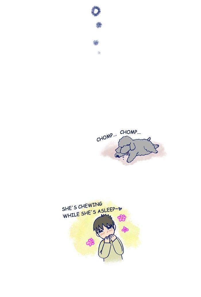 My Young Cat and My Old Dog Chapter 204 page 5 - Chapter 204