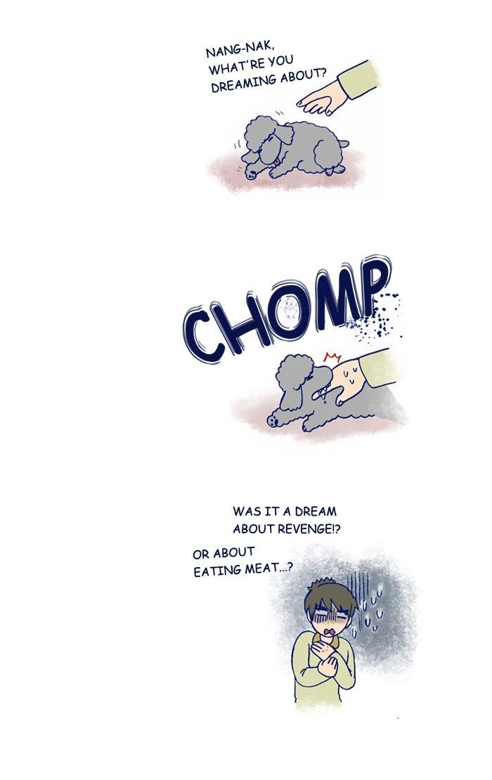 My Young Cat and My Old Dog Chapter 204 page 6 - Chapter 204