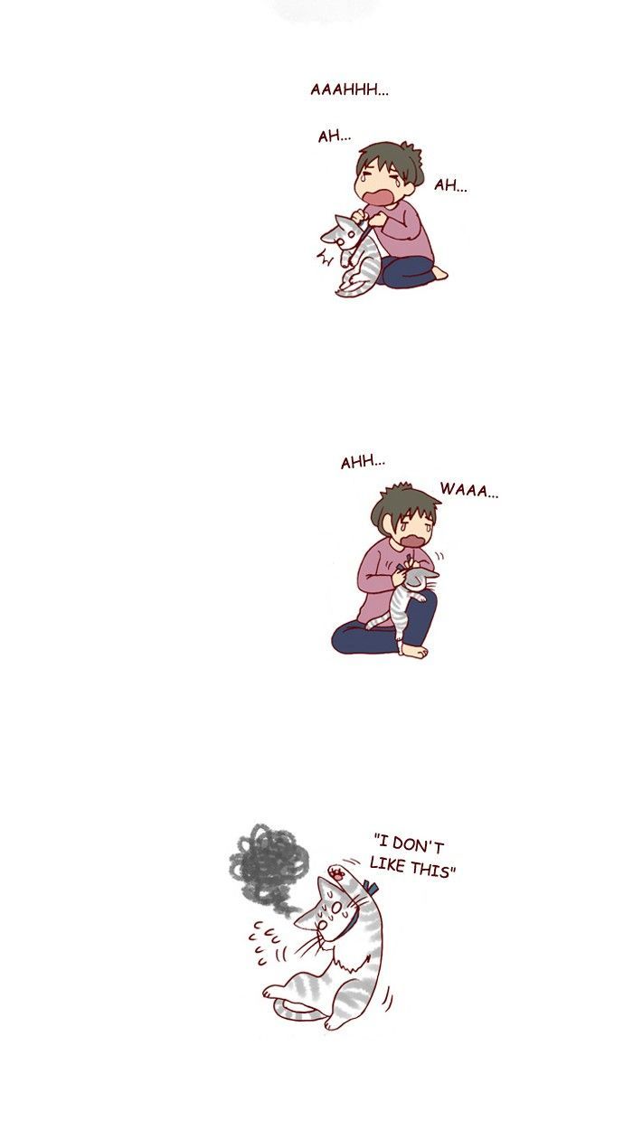 My Young Cat and My Old Dog Chapter 205 page 6 - Chapter 205