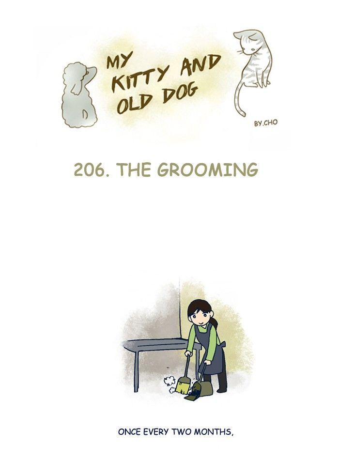 My Young Cat and My Old Dog Chapter 206 page 1 - Chapter 206
