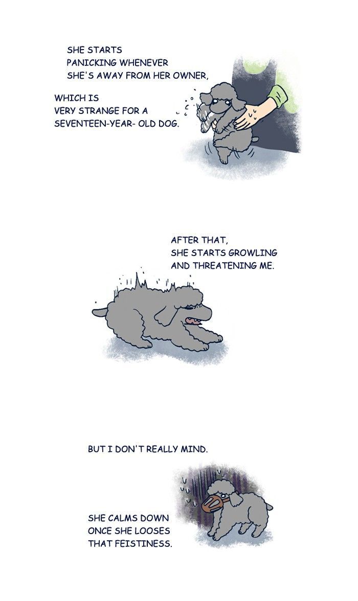 My Young Cat and My Old Dog Chapter 206 page 3 - Chapter 206