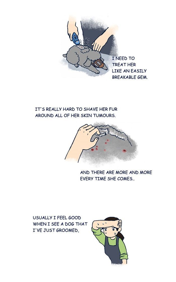 My Young Cat and My Old Dog Chapter 206 page 4 - Chapter 206