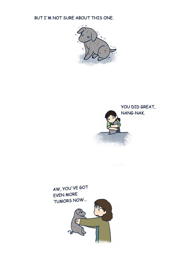 My Young Cat and My Old Dog Chapter 206 page 5 - Chapter 206