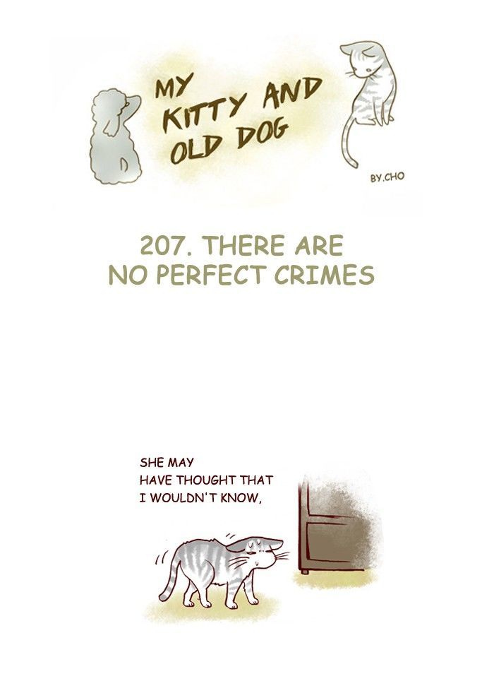 My Young Cat and My Old Dog Chapter 207 page 1 - Chapter 207