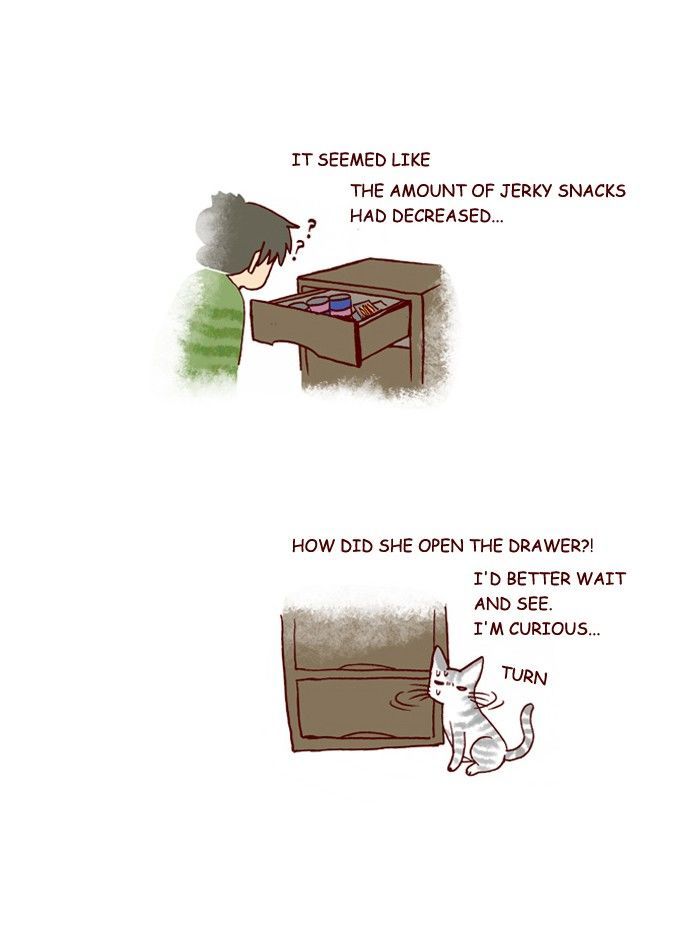 My Young Cat and My Old Dog Chapter 207 page 3 - Chapter 207