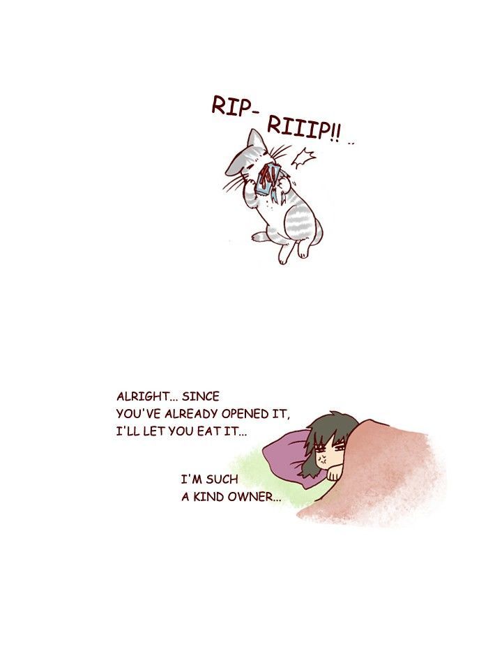 My Young Cat and My Old Dog Chapter 207 page 6 - Chapter 207